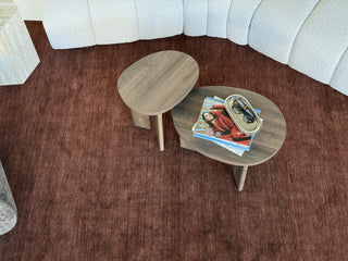 Arden Hand-Knotted Wool Rug Terra