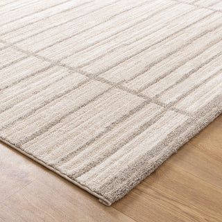 Aster Distressed Thick Lines Beige Grey Rug