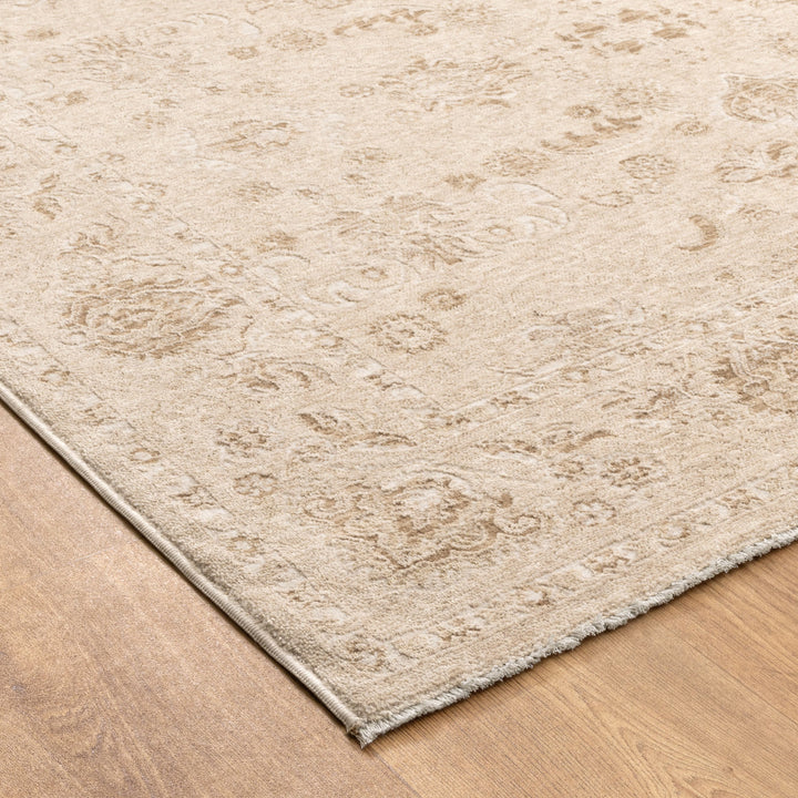Gwen  Warm Biscotti Vintage Beige Rug