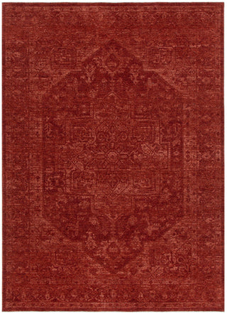 Olay Distressed Medallion Rust Rug