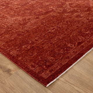 Olay Distressed Medallion Rust Rug