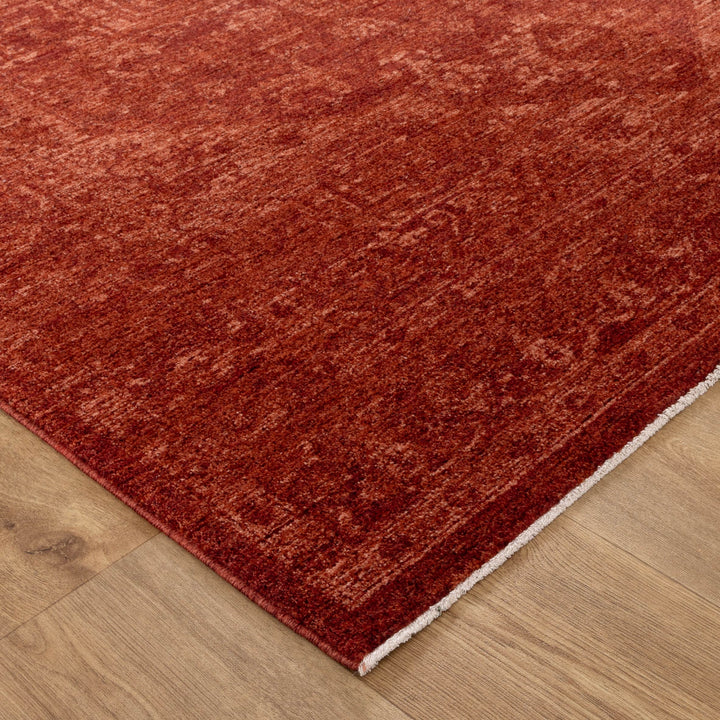 Heritage Distressed Medallion Rust Rug - H101