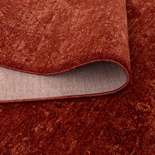 Olay Distressed Medallion Rust Rug