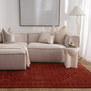 Olay Distressed Medallion Rust Rug