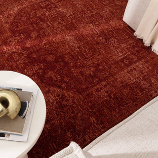 Olay Distressed Medallion Rust Rug