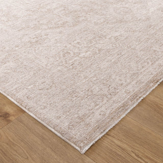 Olay Distressed Medallion Beige Rug