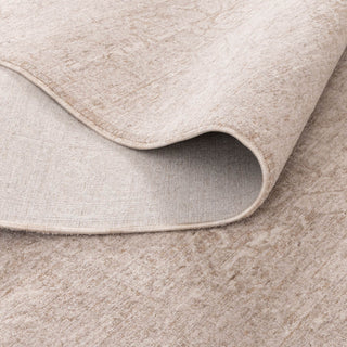 Olay Distressed Medallion Beige Rug