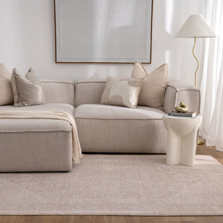 Olay Distressed Medallion Beige Rug