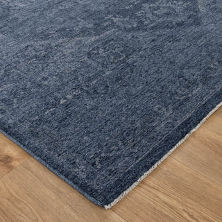 Olay Distressed Medallion Blue Rug