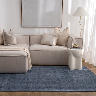 Olay Distressed Medallion Blue Rug