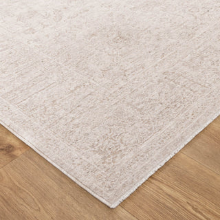 Olay Distressed Border Beige Rug