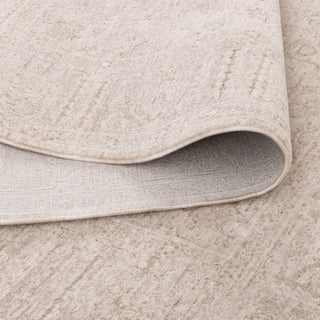 Olay Distressed Border Beige Rug