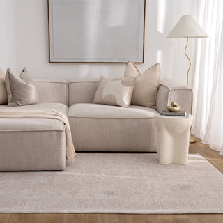 Olay Distressed Border Beige Rug