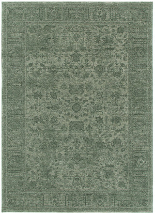 Olay Distressed Border Green Rug