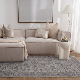 Olay Distressed Border Grey Rug - H108