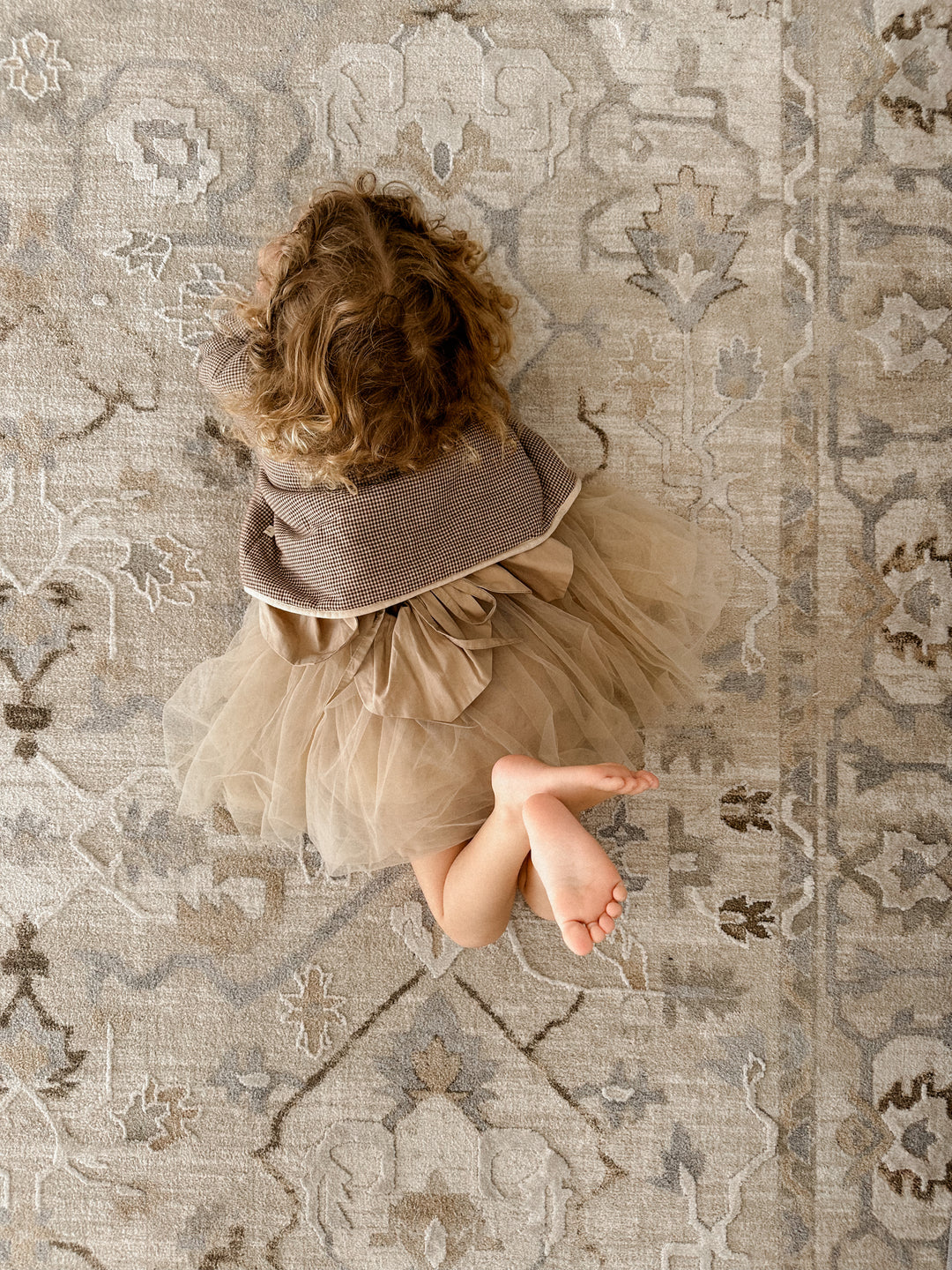 Seasons Mauritius Transitional Rug