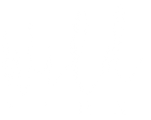 Wild Yarn