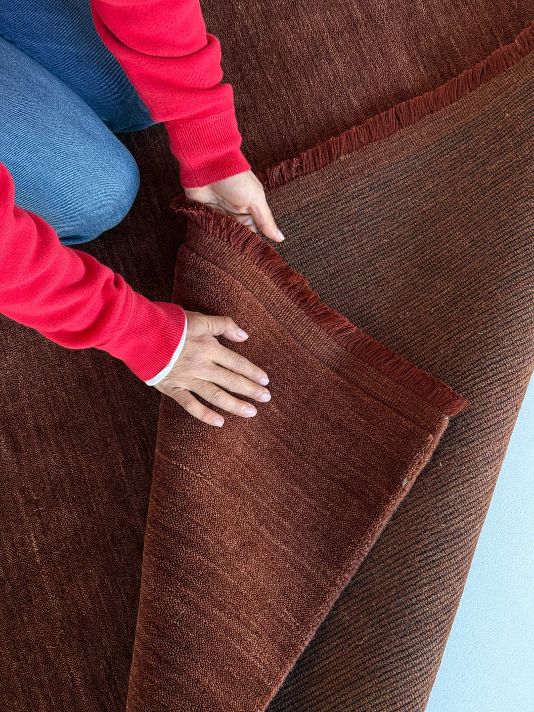 Arden Hand-Knotted Wool Rug Terra