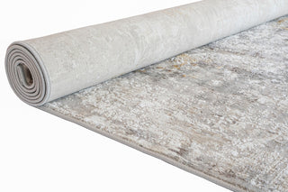 RIEKA Transitional Light Grey Rug