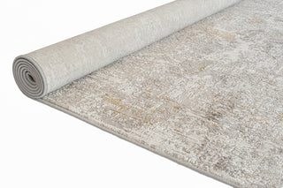 RIEKA Transitional Light Grey Rug