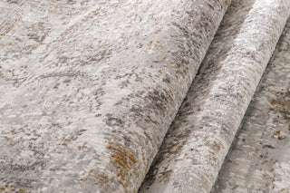 RIEKA Transitional Light Grey Rug