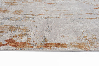 RIEKA Transitional Light Grey Rug