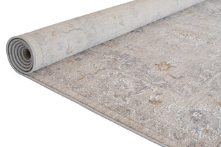 CRUCIAL  Traditional Blue Rug