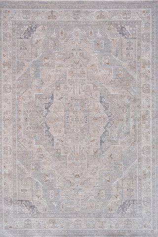 CRUCIAL Traditional Light Rug