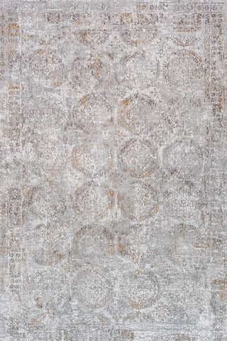 RIEKA Transitional Light Grey Rug