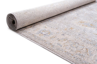 CRUCIAL Traditional Light Grey Rug