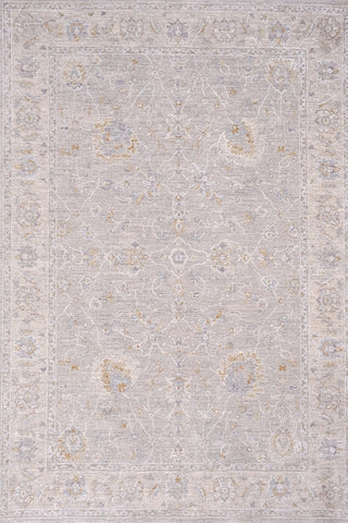 CRUCIAL Traditional Light Grey Rug