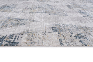 RIEKA Transitional  Light Grey Rug
