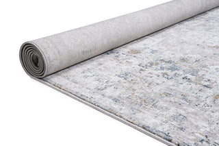 RIEKA Transitional Light Grey Rug