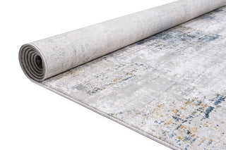 RIEKA Transitional  Light Grey Rug