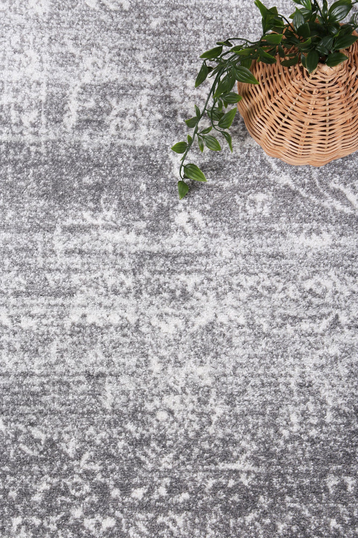 Louis Grey Transitional Rug