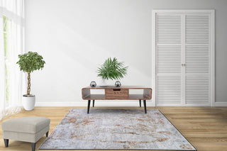 RIEKA Transitional Light Grey Rug