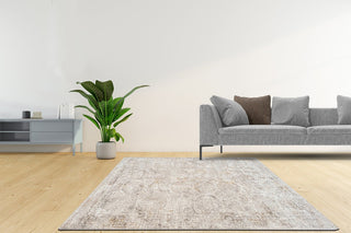 RIEKA Transitional Light Grey Rug