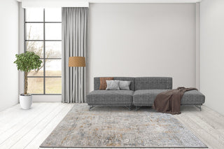 RIEKA Transitional Light Grey Rug