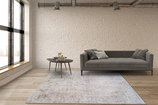 RIEKA Transitional Light Grey Rug