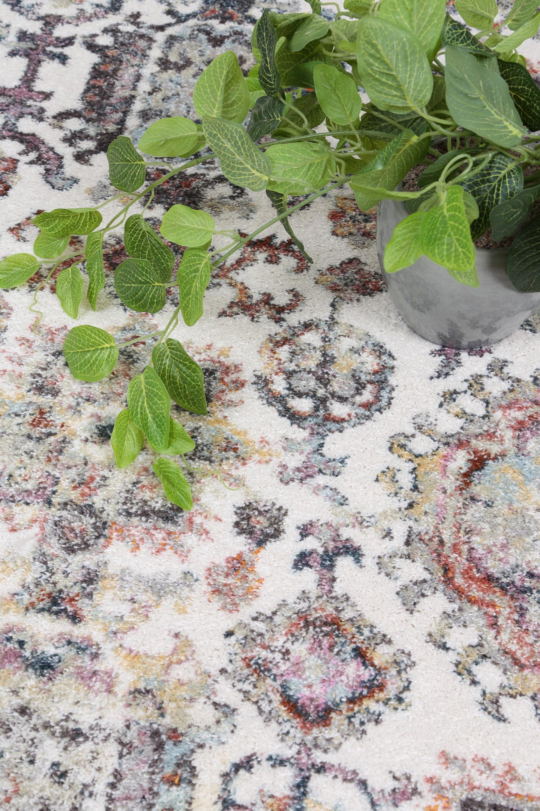 Illusion Border Cream Rug